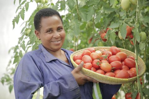 Vegetable farmer in Northern Tanzania. Photo credit: Bill Marwa