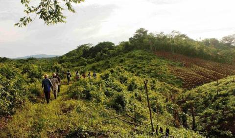 CC: Aprueban comisión para restituir tierras y anular concesiones mineras en territorios indígenas