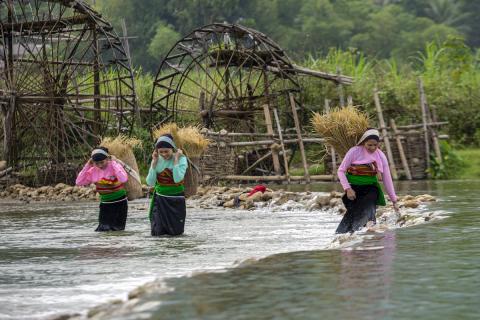 Vietnam (credit: Thinh Hoang Hai)