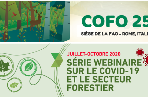 webinar forest