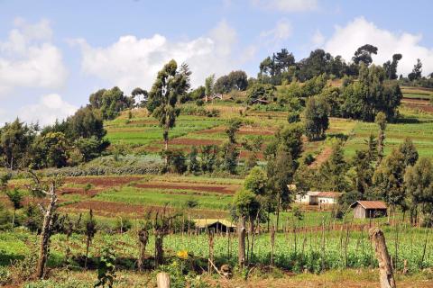 Terraced Fields Credit: ©2010CIAT/NeilPalmer