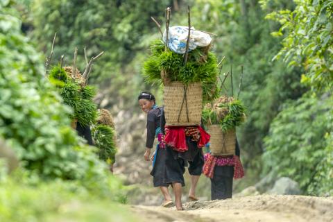 Vietnam (credit: Thinh Hoang Hai)