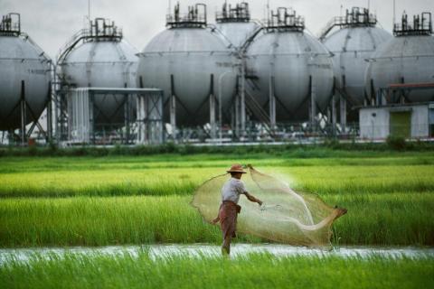 Photo CC Steve McCurry