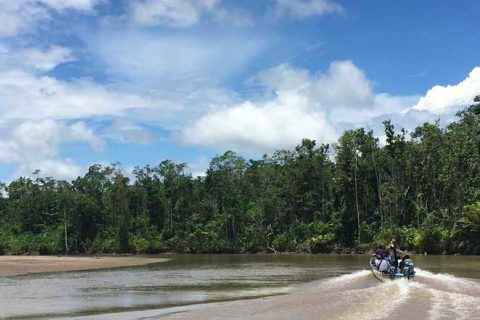 Indonesia's LESTARI Project: From Village Empowerment to Landscape Conservation