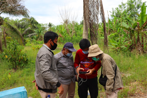 UNDP supports Indonesia turning digital to monitor land cover