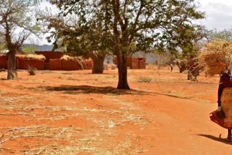 A woman returns to a farmer village near Dodoma, Tanzania (Photo: Cecilia Schubert, Creative Commons via Flickr)