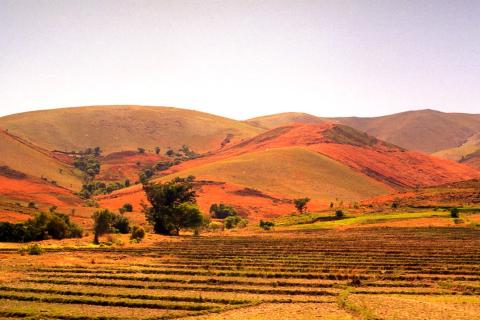 collectif-tany-madagascar.jpg