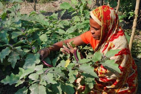 land-food-security