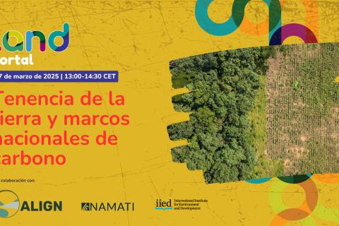 Tenencia de la tierra y marcos nacionales de carbono