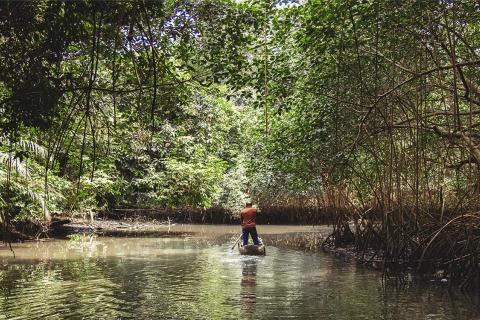 L'AFD soutient la protection de cet écosystème du bassin du Congo, deuxième plus grande forêt du monde après l'Amazonie © Issembe Sonier / AFD