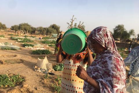 femmes mauritaniennes