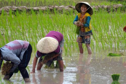 Foto: FAO/Xavier Bouan