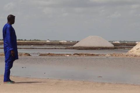 SNkathryn-salt-flats.jpg