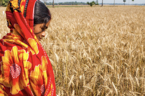 a farmer from Rajbari District, Bangaldesh