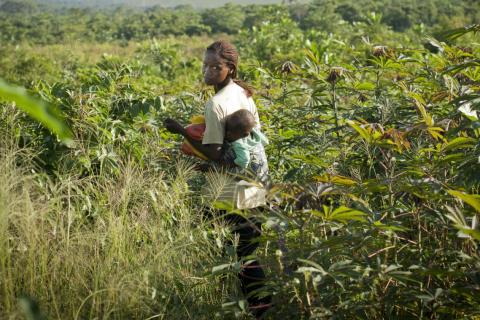 ccfd-terresolidaire.org-totalenergie-au-congo-la-compensation-carbone-au-detriment-des-populations-congo-2-1536x759.jpg