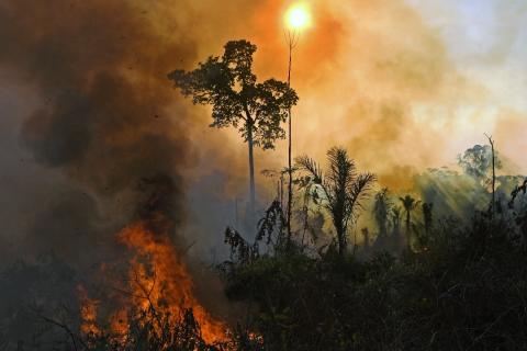 FOTO: CARL DE SOUZA / AFP