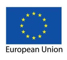 European Union logo