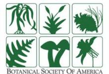 Botanical Society of America logo