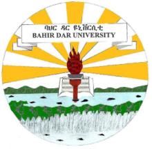 Bahir Dar University logo