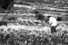 Gobernanza Ambiental, una estrategia para superar las desigualdades en territorios campesinos e indígenas de tierras bajas de Bolivia.