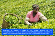 Foto: ILO/Flickr