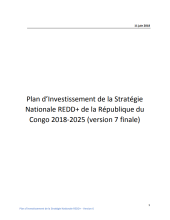 Plan d’Investissement de la Stratégie  Nationale REDD+ 