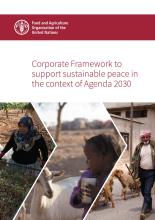 Corporate Framework to support sustainable peace in the context of Agenda 2030 cover image