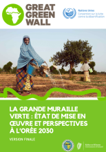 La grande muraille verte : état de mise en œuvre et perspectives à l’orée 2030