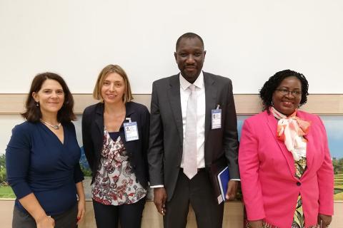 The Land Portal at CFS 46