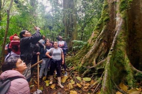 Protecting the Roots of a Sacred Tree