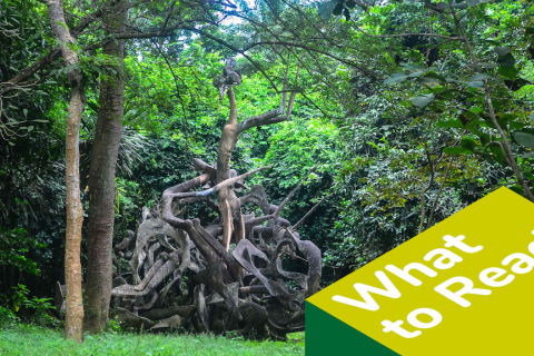 sacred forest in Nigeria