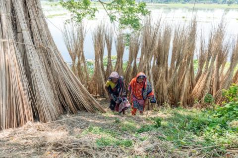 Why food production hinges on women