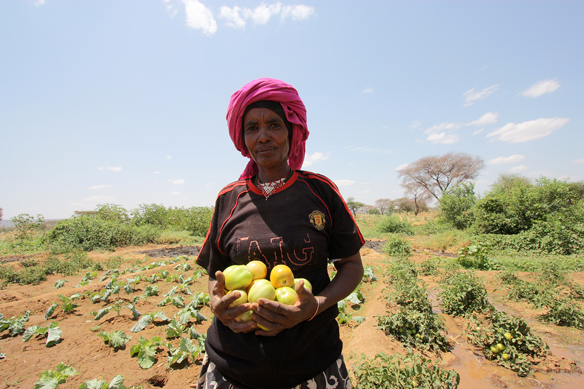 New irrigation scheme in Isiolo, Kenya, photo by EU Civil Protection Humanitarian Aid