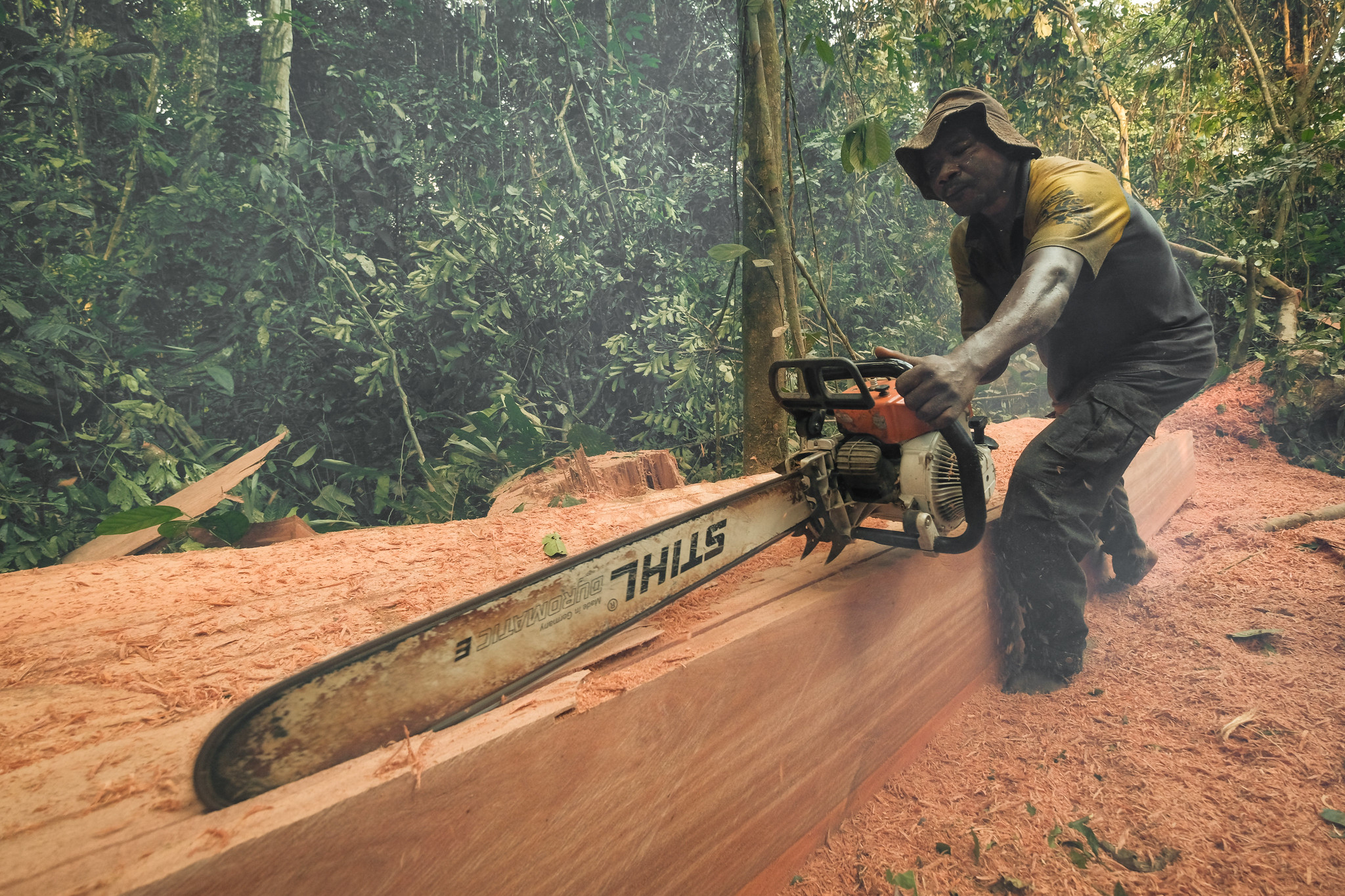 Cutting timber. Photo by Axel Fassio CIFOR, CC BY-NC-ND 2.0 license