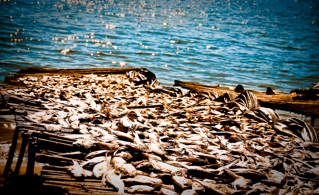 Fish Market Lake Malawi James Verster CC BY-NC-ND 2.0