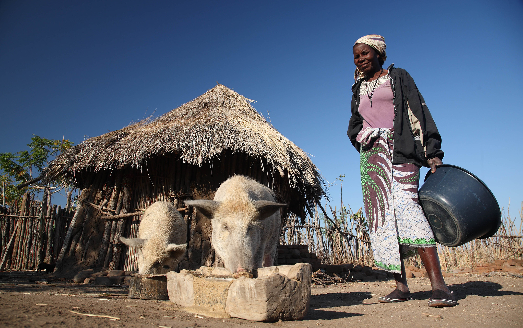 Small family farmers risk being displaced by land investors Photo by ILRI CC-BY-NC-ND