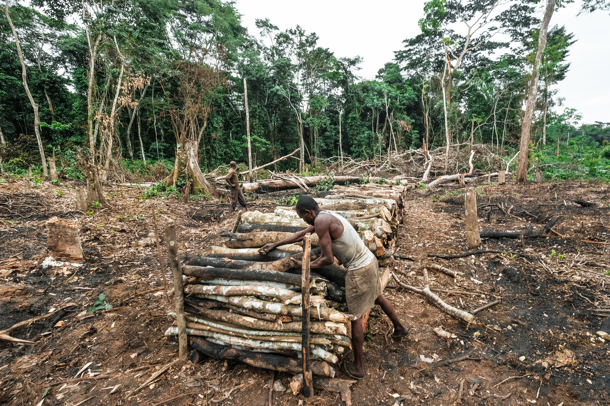 Informal charcoal production. Photo by Axel Fassio, CIFOR, CC BY-NC-ND 2.0 license