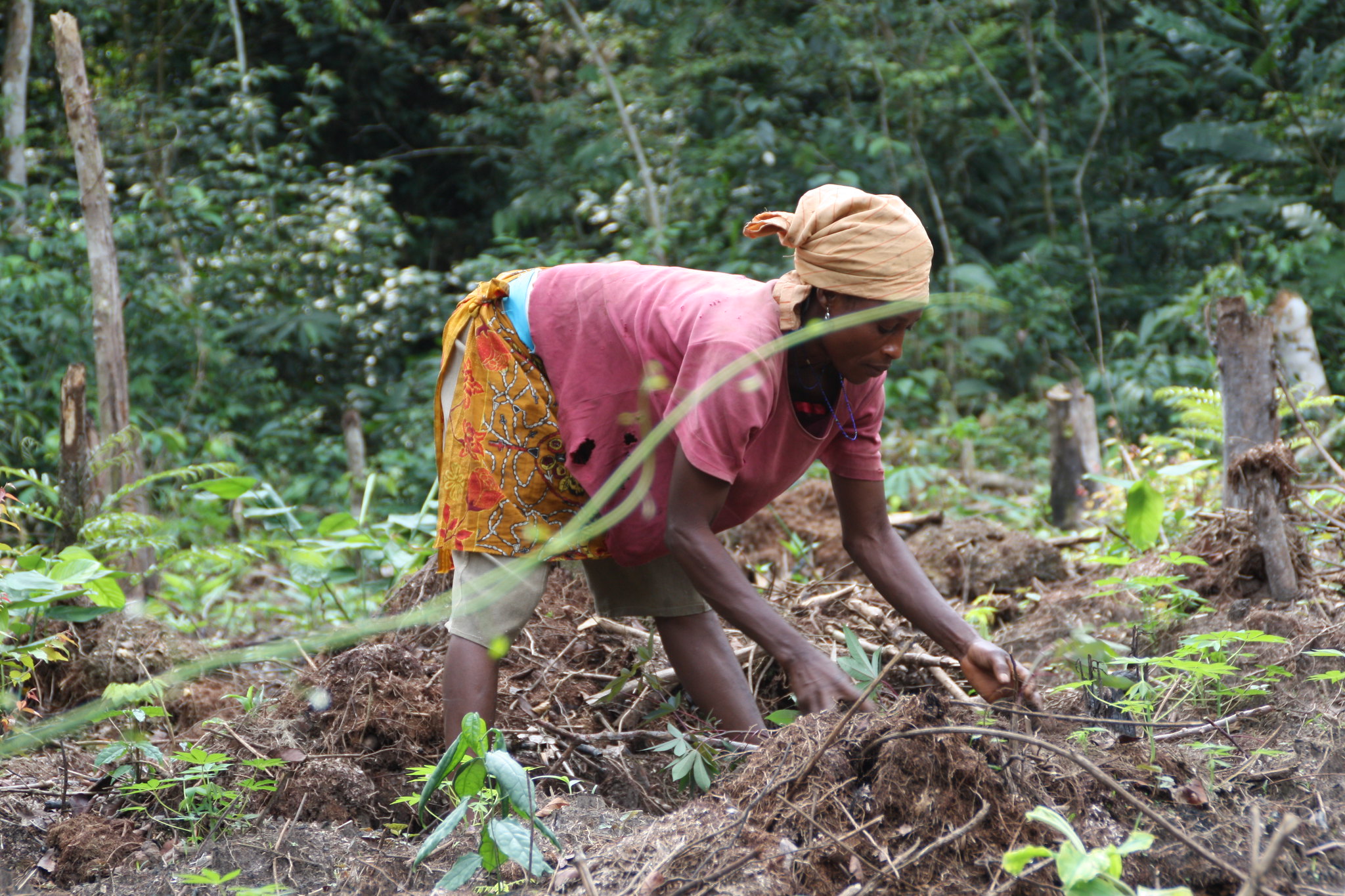 Woman clearing land. Photo by Kjersti Lindoe, Norad, CC BY-NC-ND 2.0 license