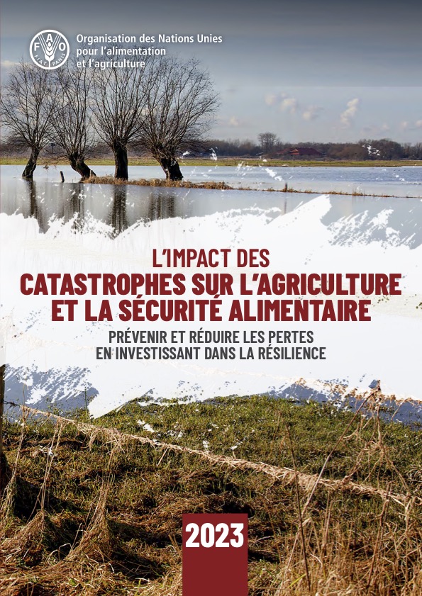 L’Impact des catastrophes sur l’agriculture et la sécurité alimentaire 2023