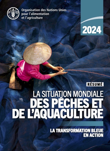  Résumé de La situation mondiale des pêches et de l’aquaculture 2024