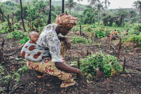 Foto: Annie Spratt/Unsplash