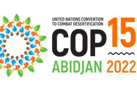 COP15