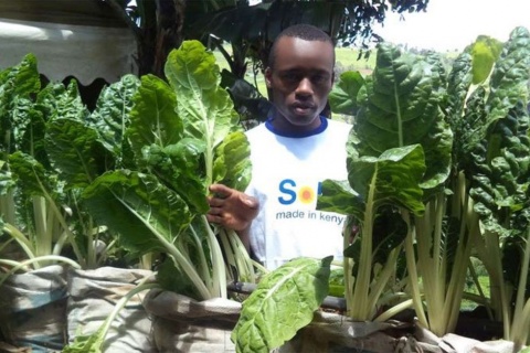 Kenyan youth are turning to farming. FILE PHOTO | NMG