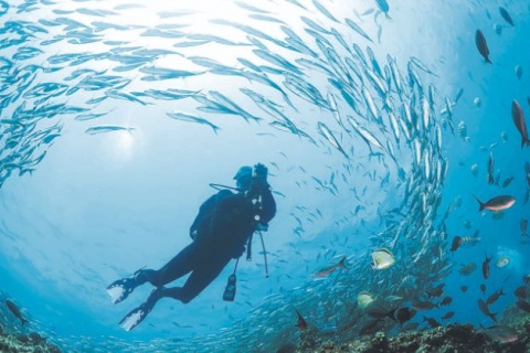 Why it’s time we woke up and listened to the ocean